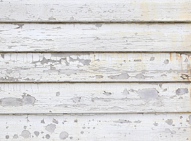 Best Carpet Removal and Disposal  in Woodbury, TN